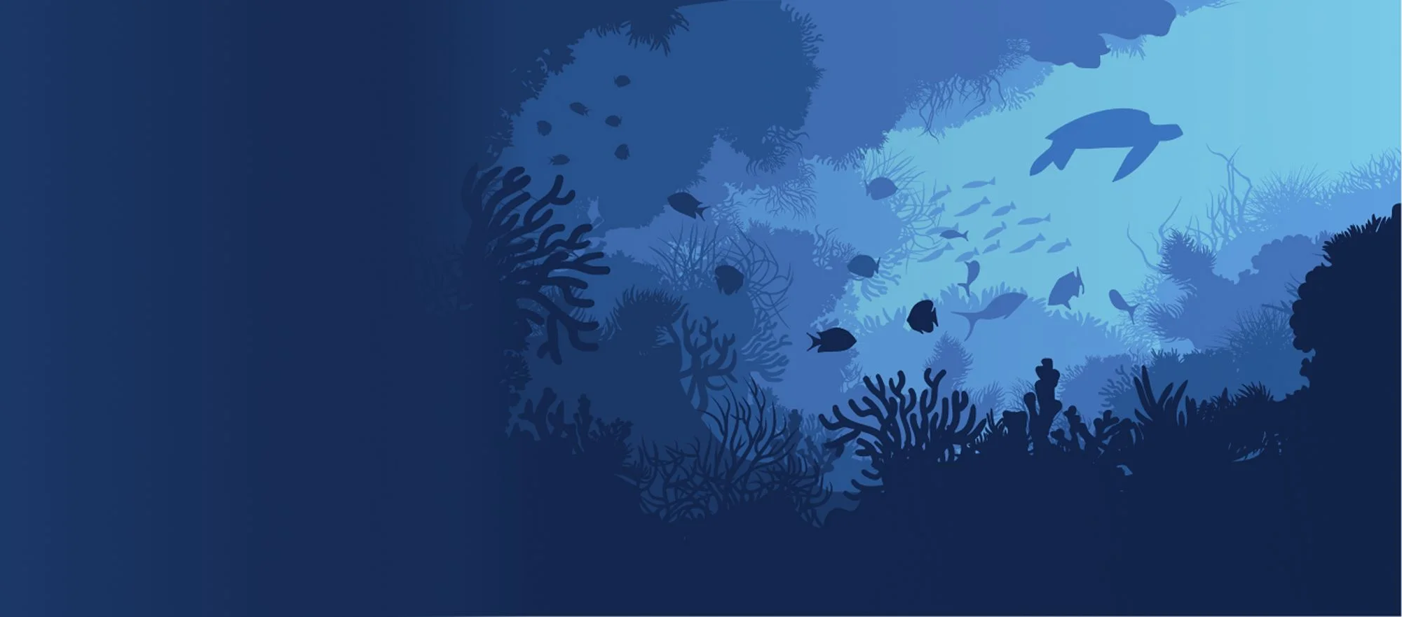 Illustration des fonds marins