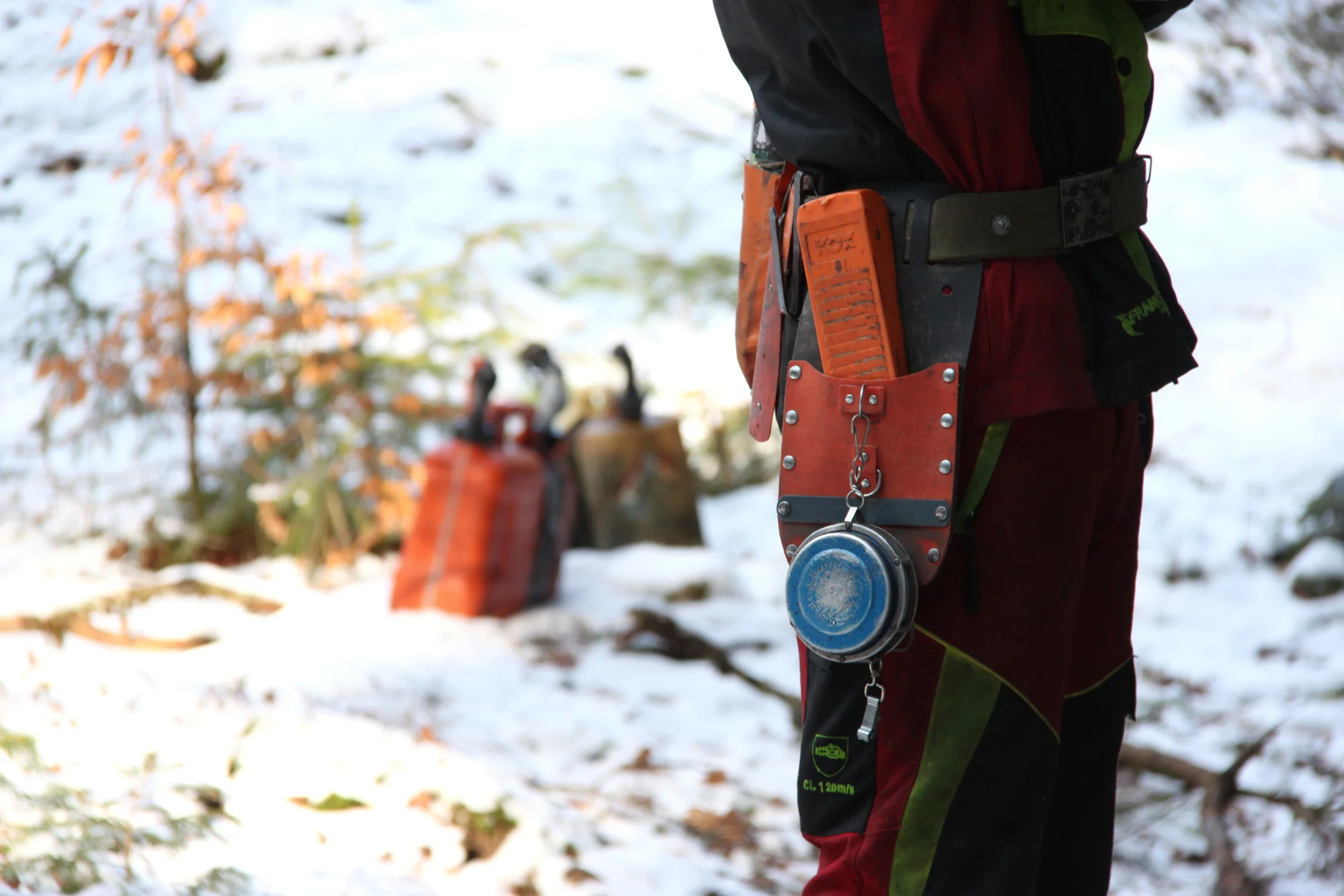 Le RAF : l’asso qui fait du RAFfut pour ne plus éRAFler les forêts