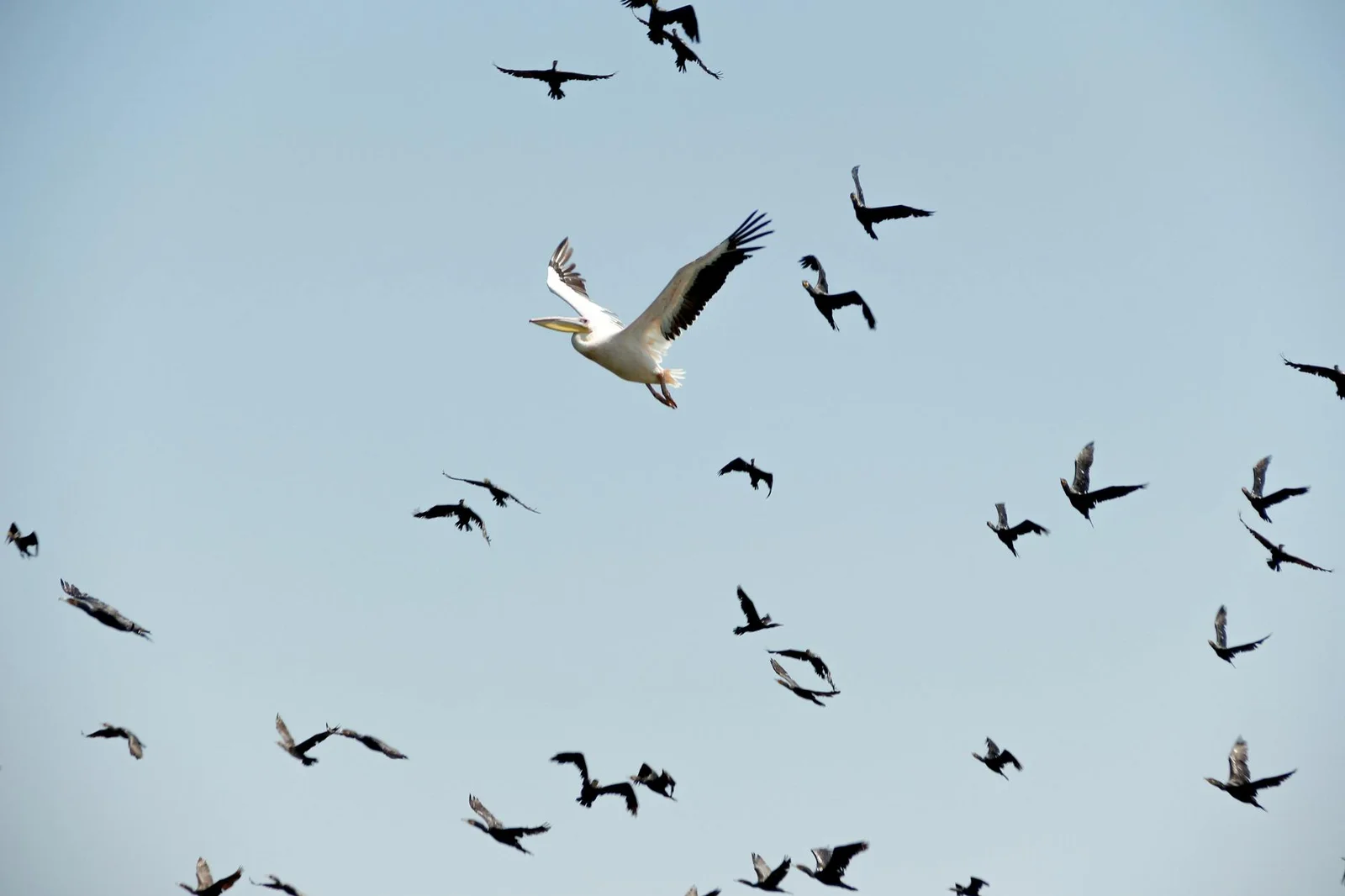 Migrations climatiques : et si demain c’était nous ? 