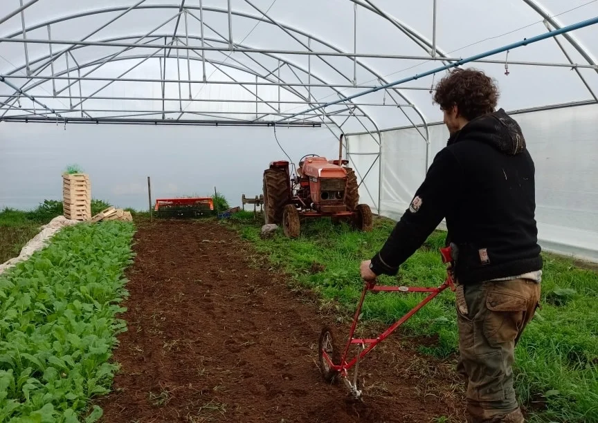 La ferme des demains, punk et visionnaire