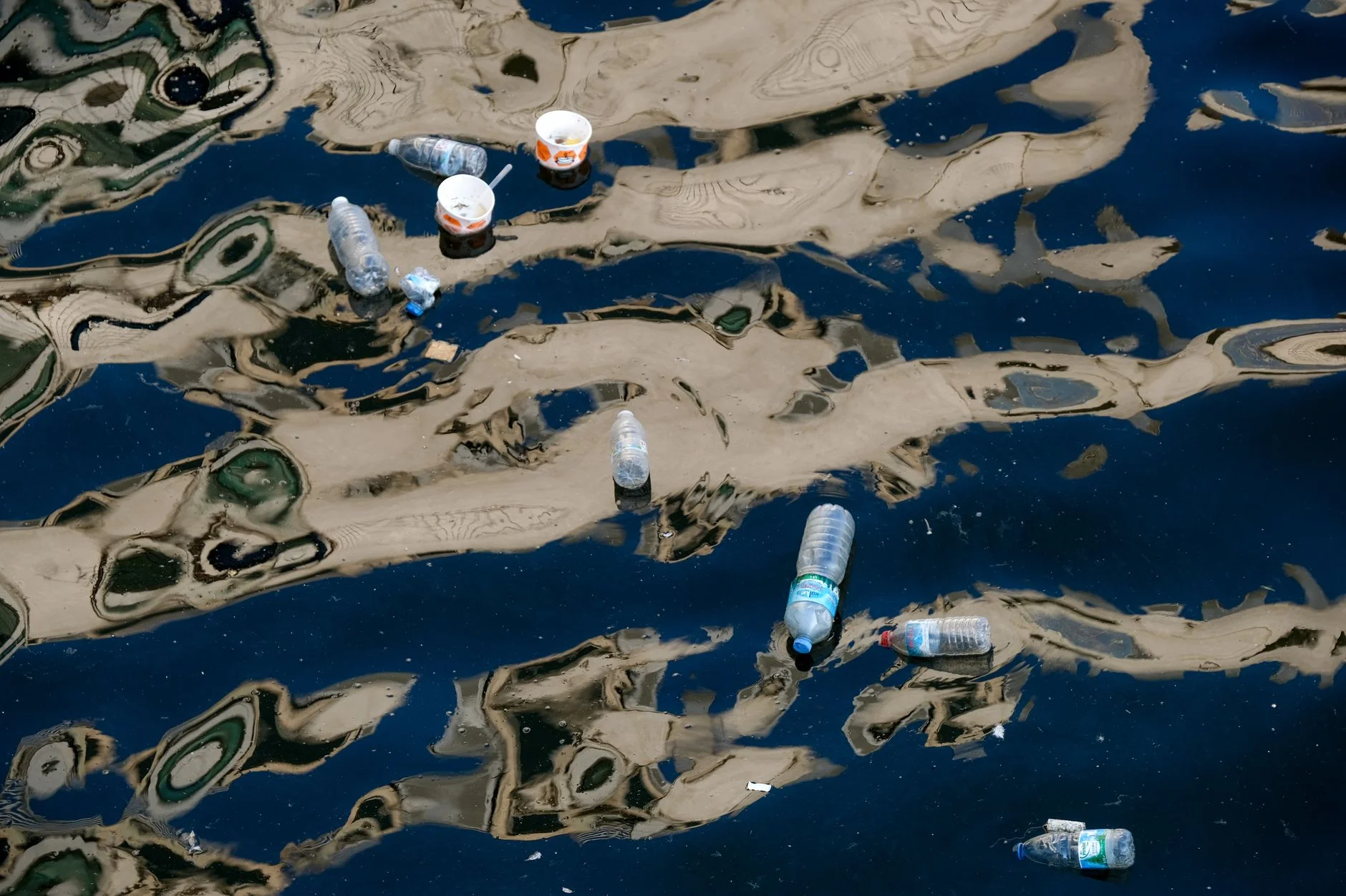 Plastisphère, plastisphère, c’est quoi la plastisphère ?