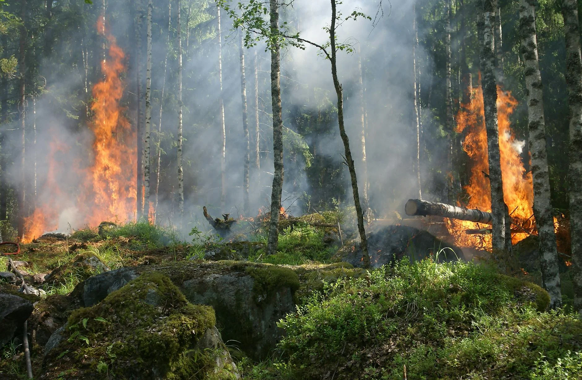Brûler à petit feu en 2025