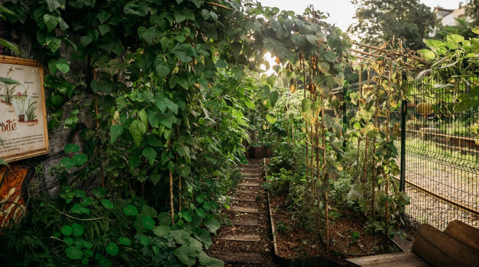 Les meilleurs coins de nature qui te font oublier que tu es à Paris