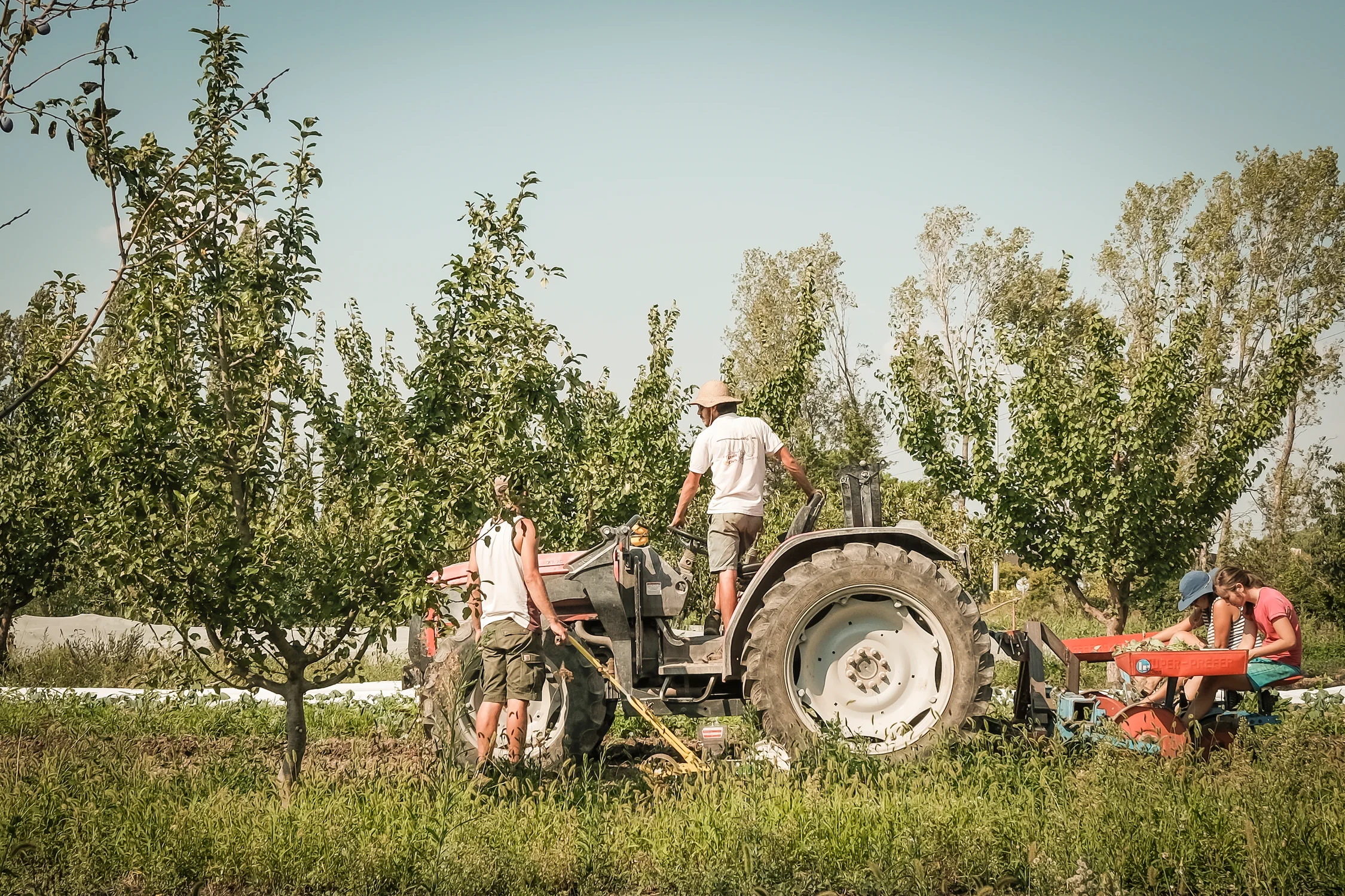 Terre de Liens, l’agriculture en partage