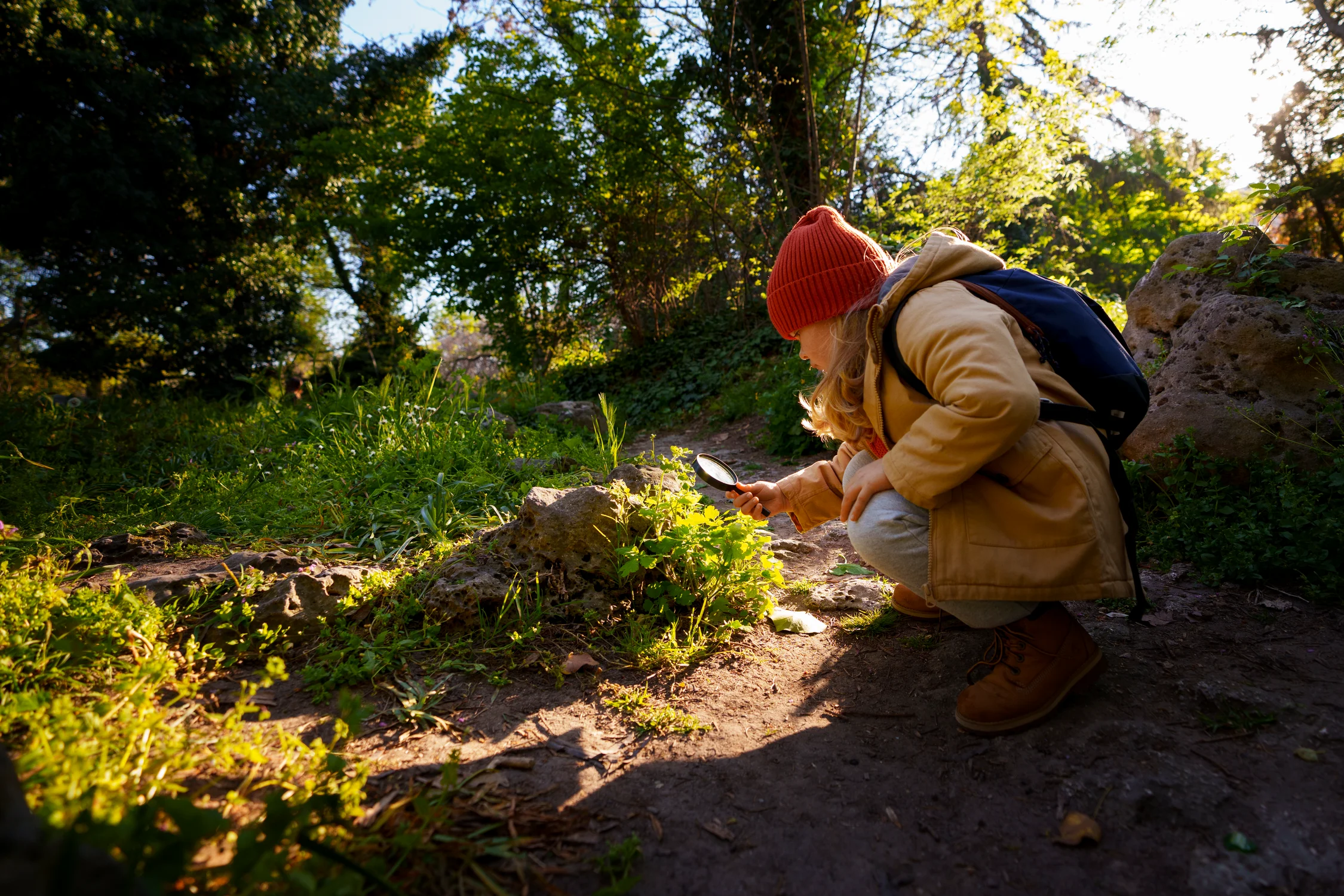 Palmarès des bonnes idées pour devenir bénévole pour la forêt 