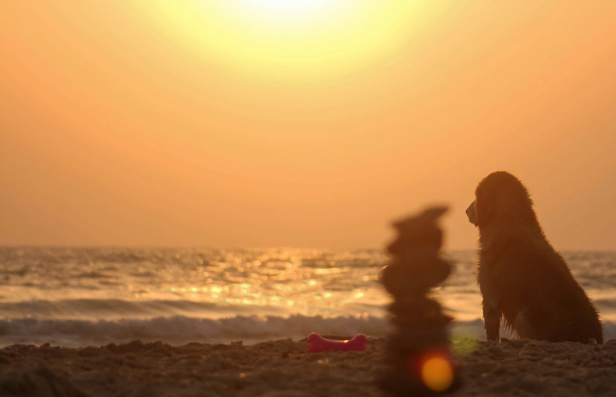 Coolcation : les 10 destinations françaises où se réfugier quand il fait trop chaud