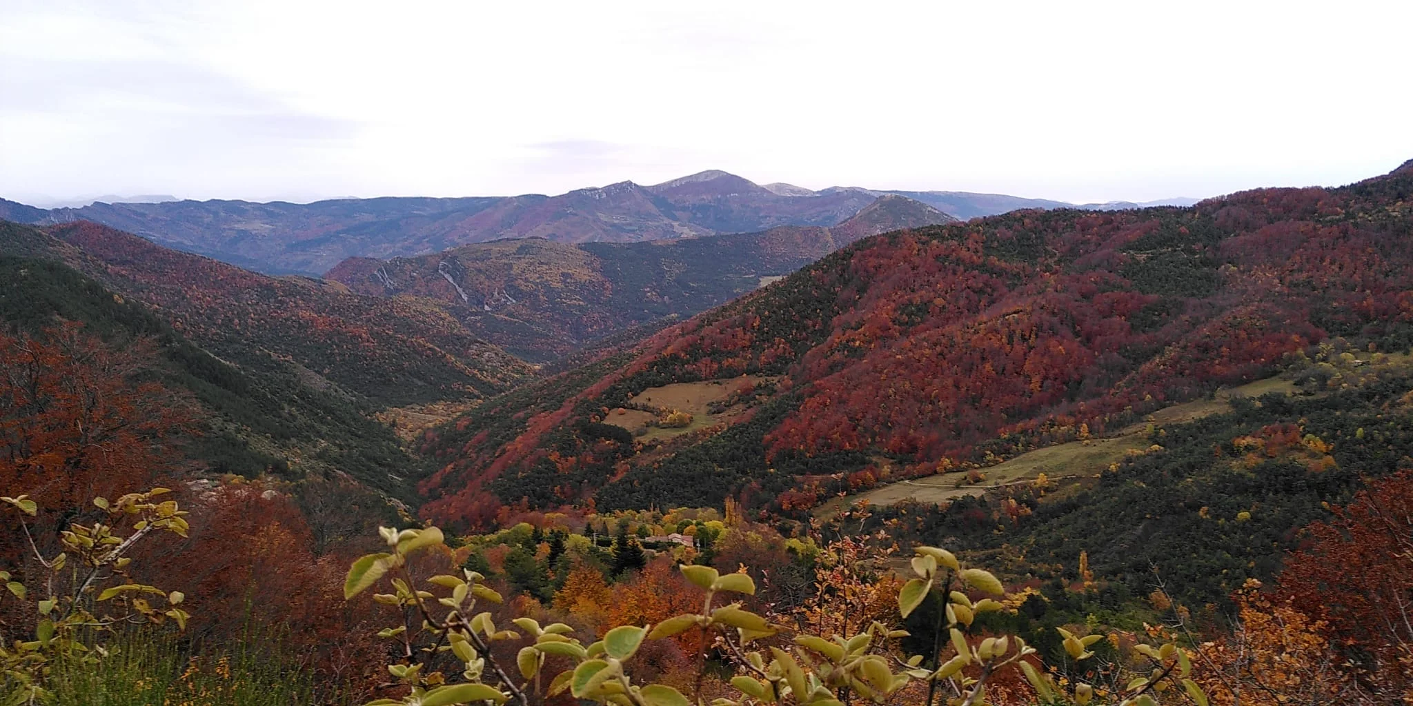 La transition de la Vallée de la Drôme, une saga collective source d’inspiration 