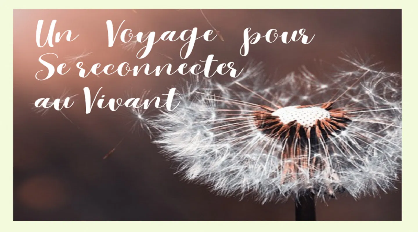 Le Travail Qui Relie : Un voyage Initiatique pour Réenchanter le Vivant