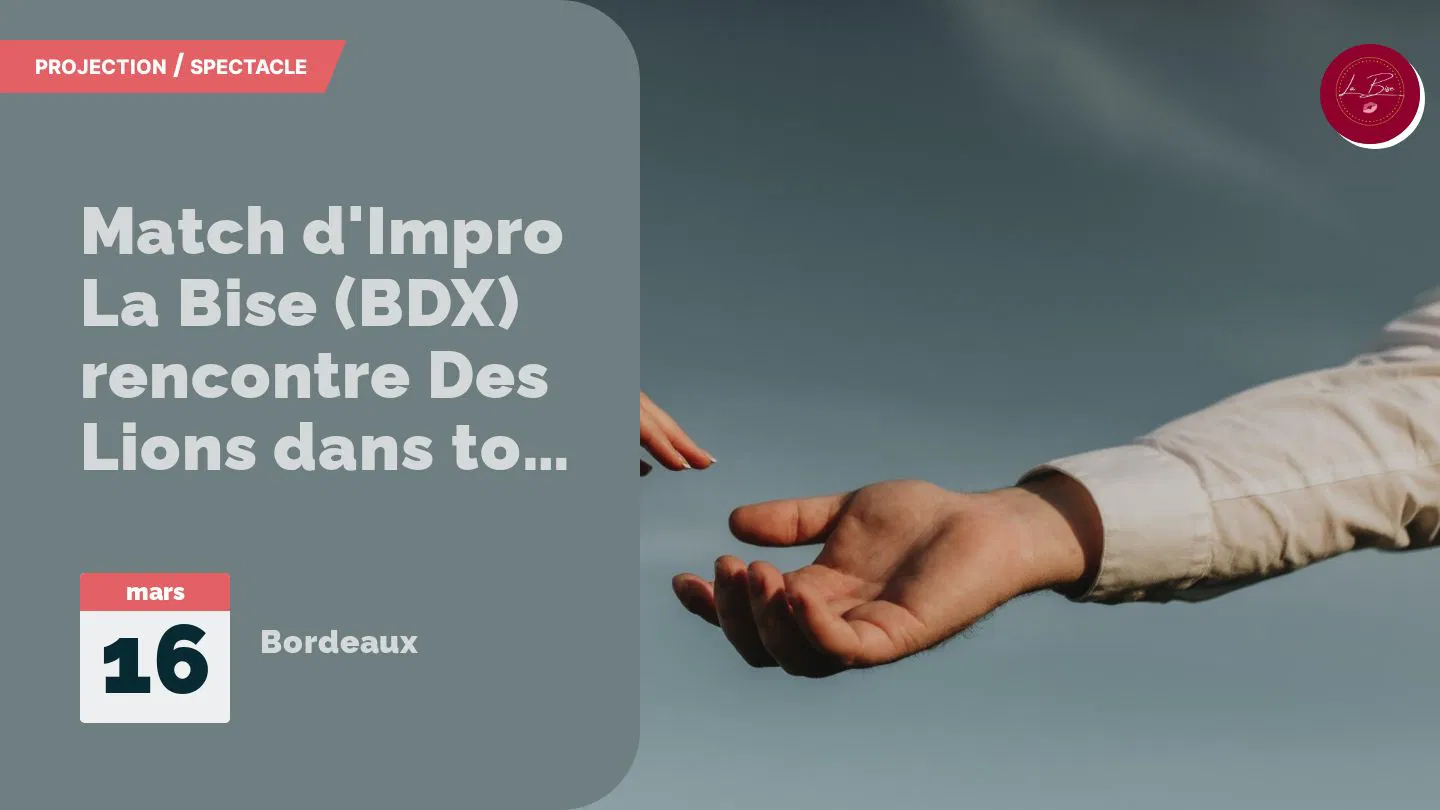 Match d'Impro La Bise (BDX) rencontre Des Lions dans ton salon (Angers)