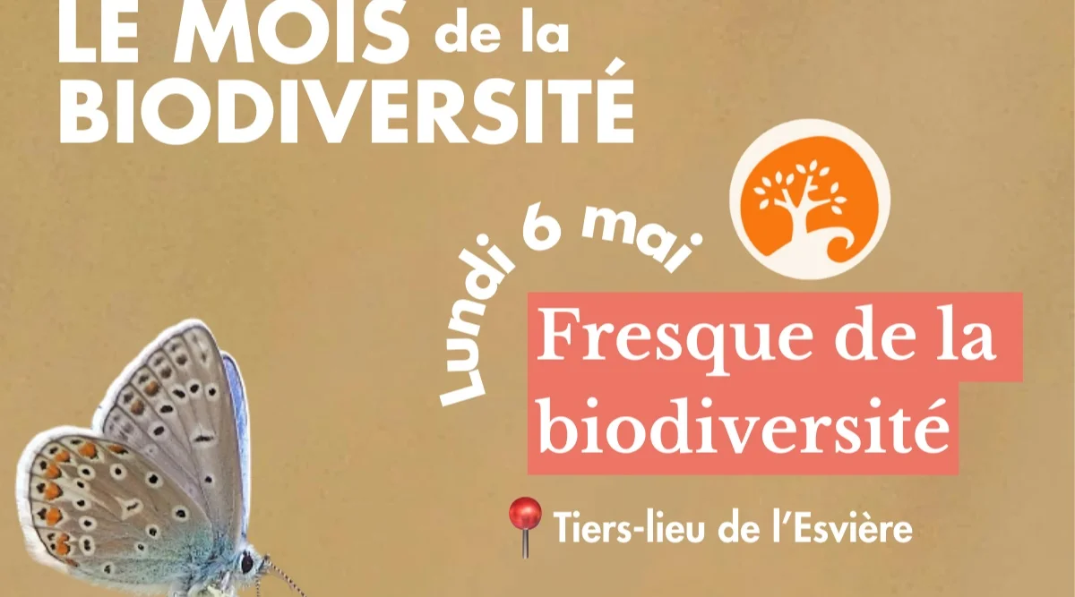 Fresque de la biodiversité 