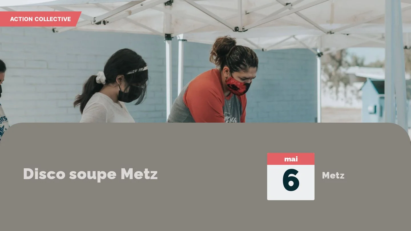 Disco soupe Metz 