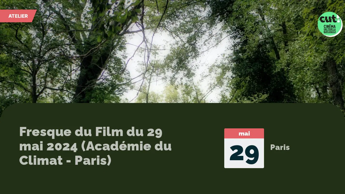 Fresque du Film du 29 mai 2024 (Académie du Climat - Paris) 
