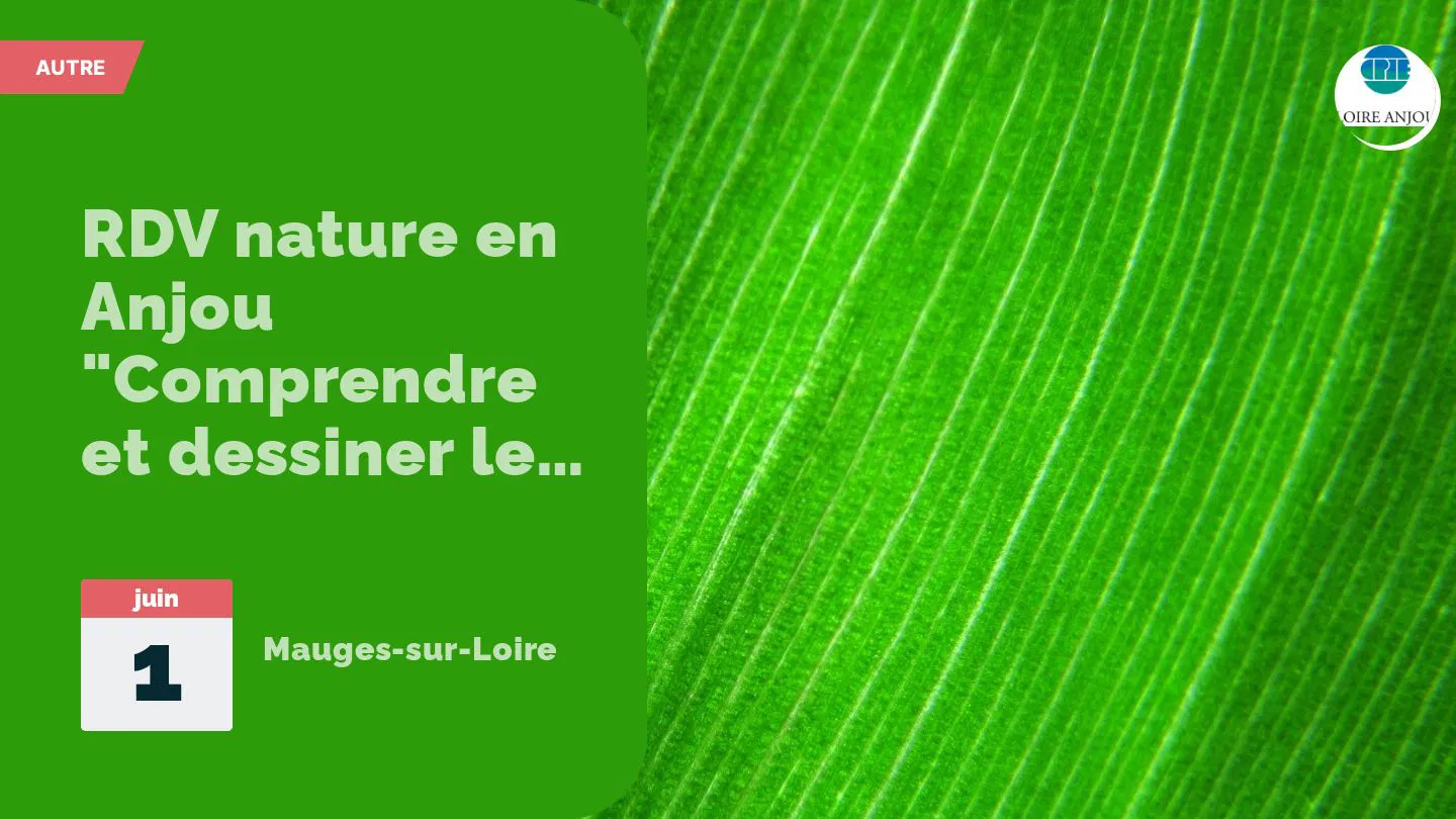 RDV nature en Anjou "Comprendre et dessiner le paysage"