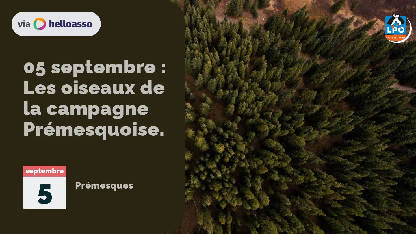 05 septembre : Les oiseaux de la campagne Prémesquoise.