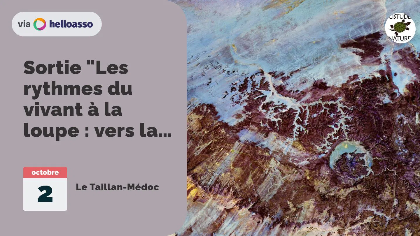 Sortie "Les rythmes du vivant à la loupe : vers la dormance hivernale"