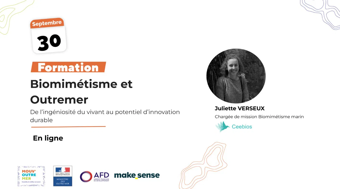 Biomimétisme et Outremer De l’ingéniosité du vivant au potentiel d’innovation durable