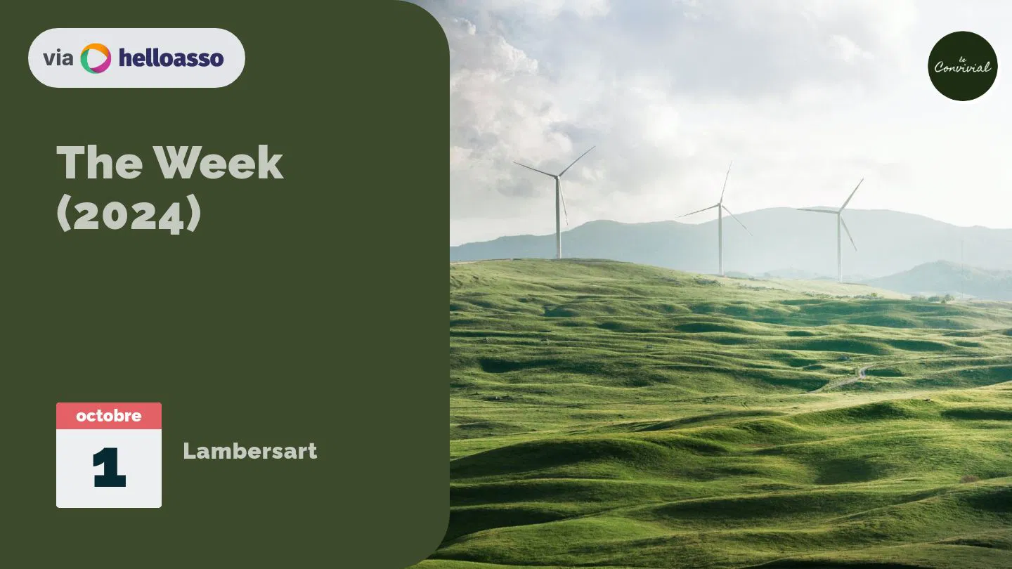The Week (2024)