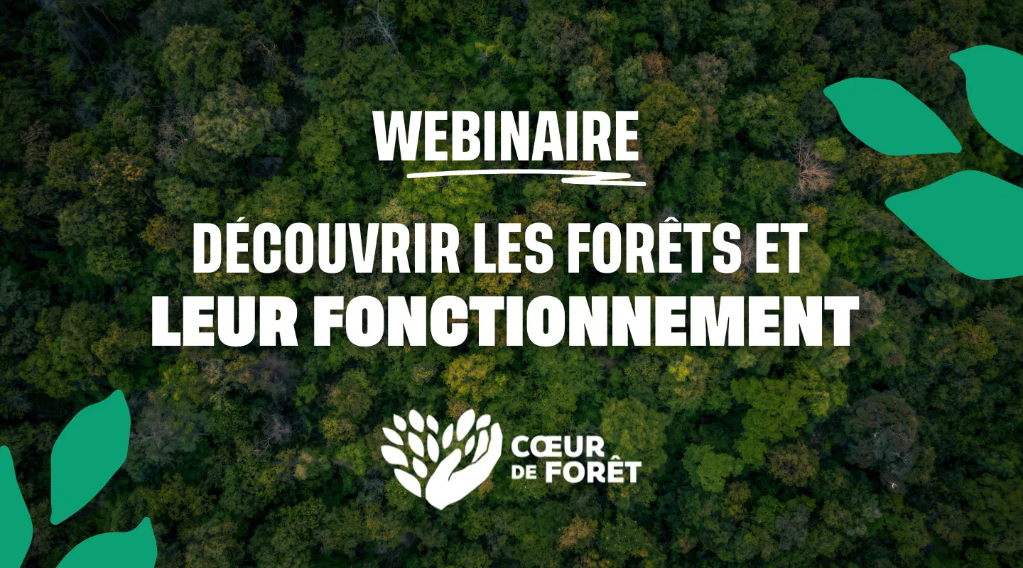 Webinaire "Découvrir les forêts et leur fonctionnement" par l'association Coeur de Forêt