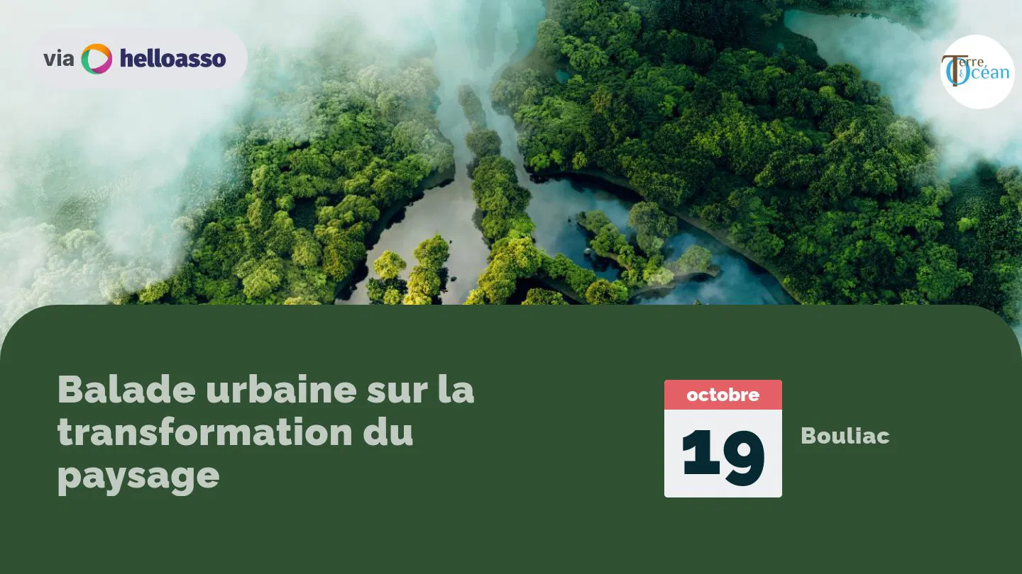 Balade urbaine sur la transformation du paysage
