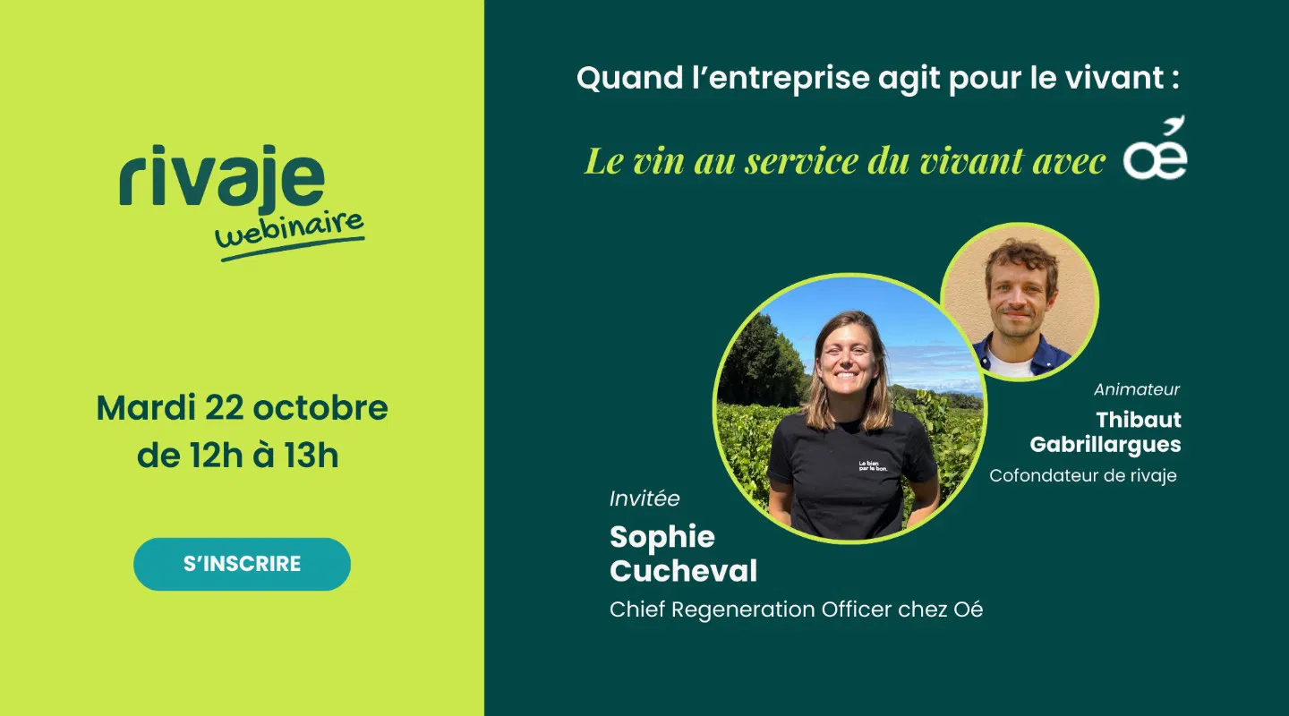 Mettre le vin au service du vivant avec Sophie Cucheval, Chief Regeneration Officer chez Oé