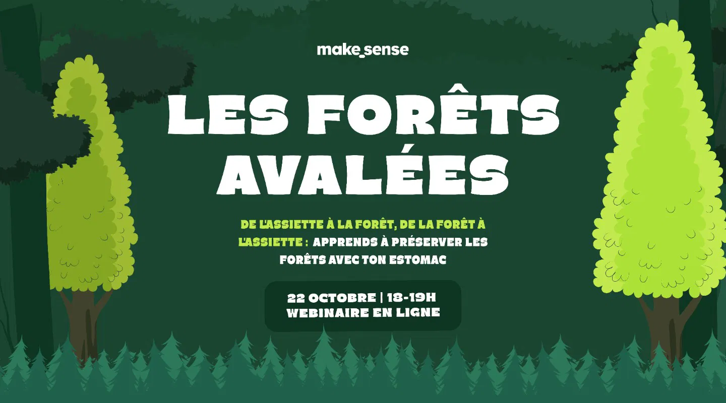 🍽️ Comment préserver les forêts par ton estomac ? 