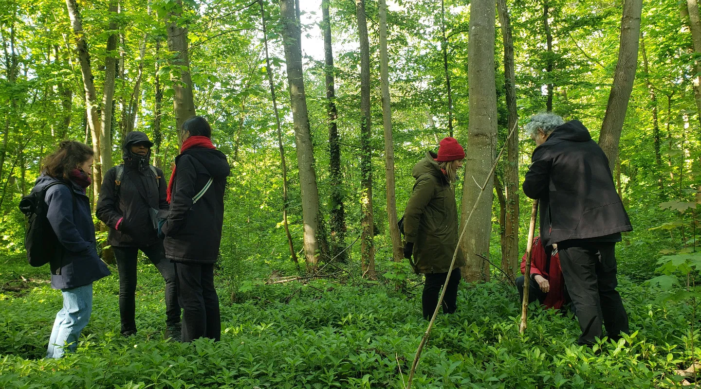 Marche du Temps Profond en forêt de Saint Germain en Laye