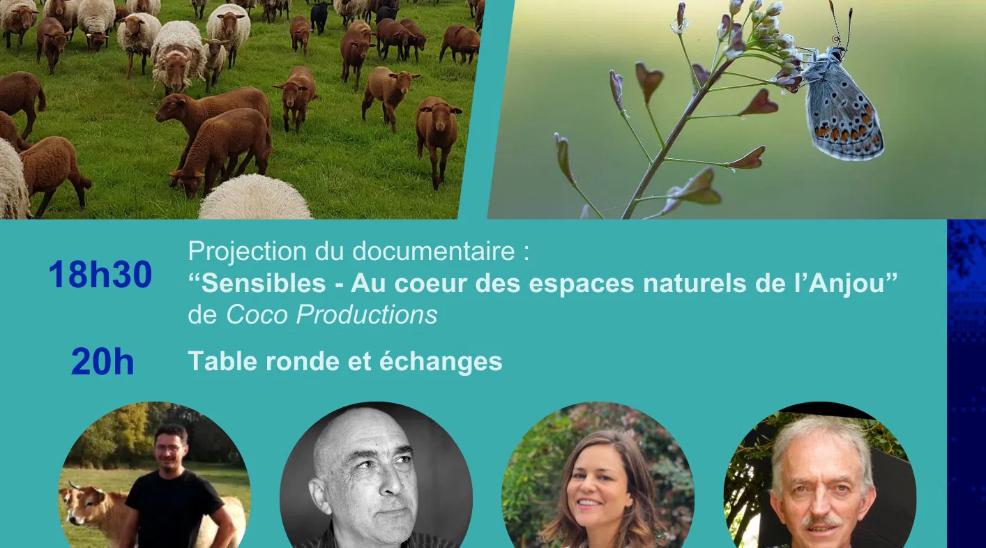 🐄🐝 Élevage et Biodiversité : Comment les allier ?