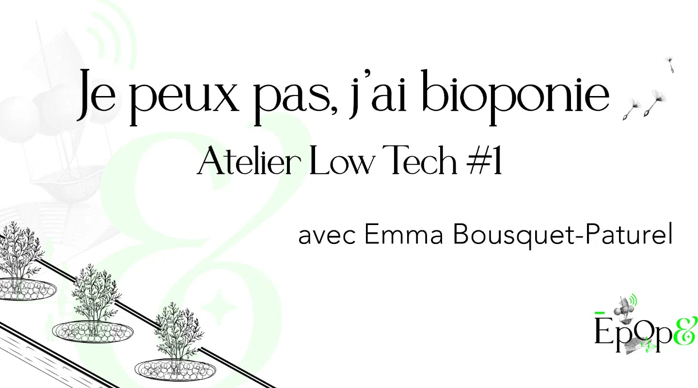 Je peux pas, j'ai bioponie - Atelier Low-tech #1