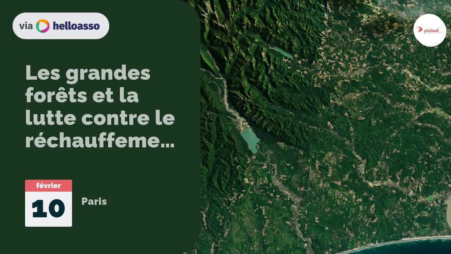 Les grandes forêts et la lutte contre le réchauffement climatique. Pré COP 30