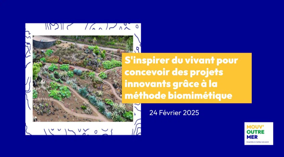 S'inspirer du vivant pour concevoir des projets innovants grâce à la méthode biomimétique (session 2)