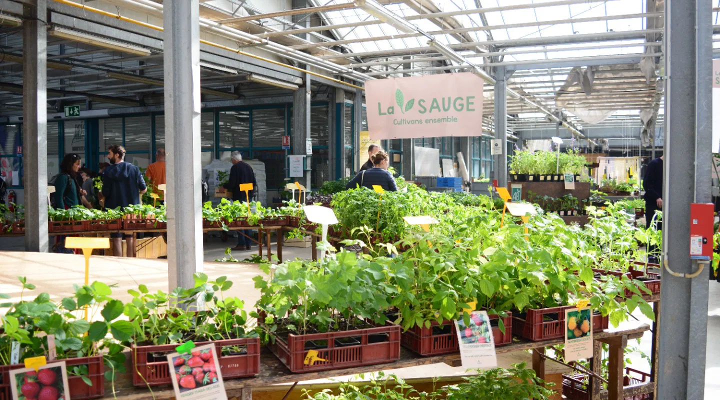 Gen paysan·ne, les nouvelles façons de planter des choux (et de faire d'autres trucs en même temps)