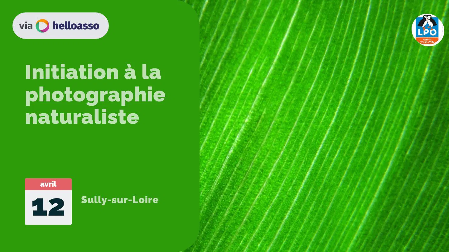 Initiation à la photographie naturaliste