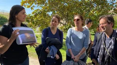 Marche du Temps Profond