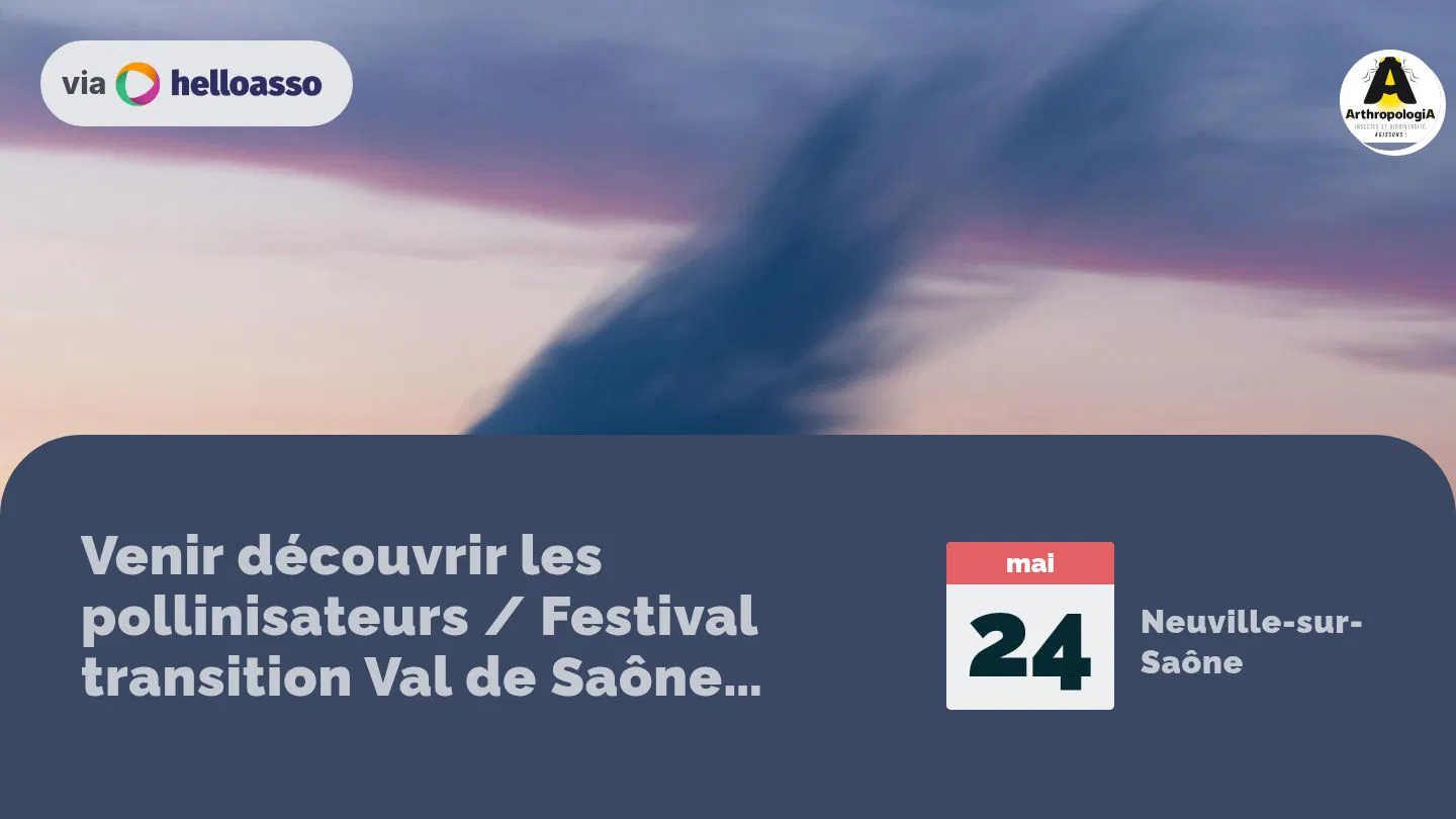 Venir découvrir les pollinisateurs / Festival transition Val de Saône Mont d'Or