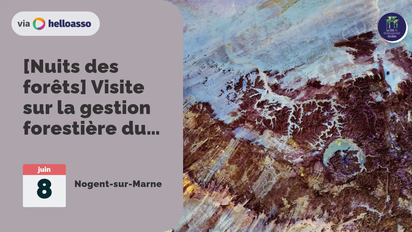 [Nuits des forêts] Visite sur la gestion forestière du Bois de Vincennes  