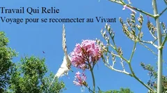 Réenchanter le Vivant - Atelier du Travail Qui Relie - Du 6 au 11 juillet dans les Cévennes
