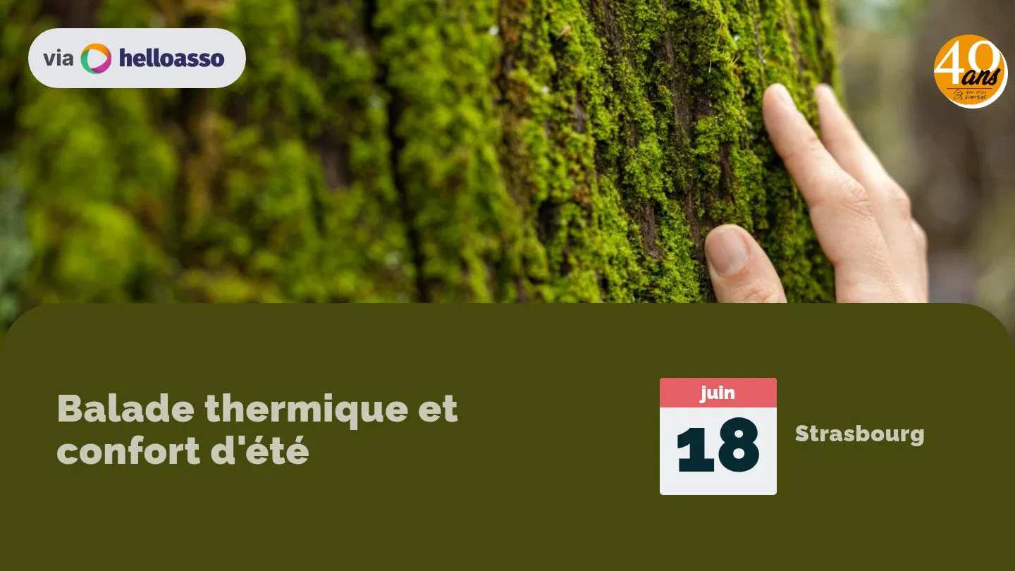 Balade thermique et confort d'été