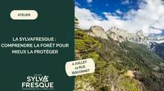 🌳 La Sylvafresque : comprendre la forêt pour mieux la protéger