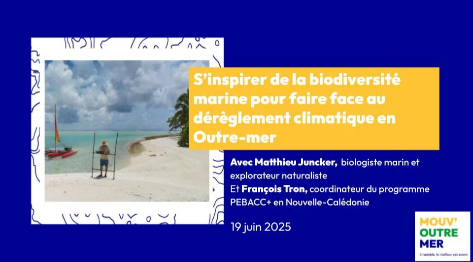 S'inspirer de la biodiversité marine pour s'adapter au dérèglement climatique en Outre-mer