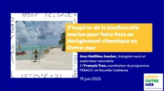 S'inspirer de la biodiversité marine pour s'adapter au dérèglement climatique en Outre-mer