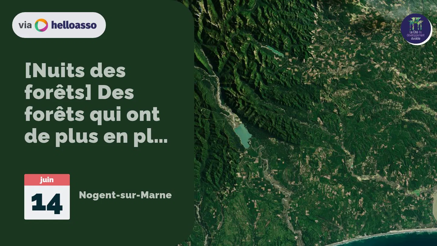 [Nuits des forêts] Des forêts qui ont de plus en plus chaud