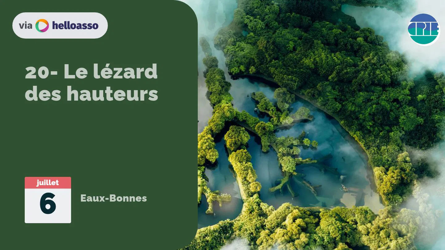 20- Le lézard des hauteurs