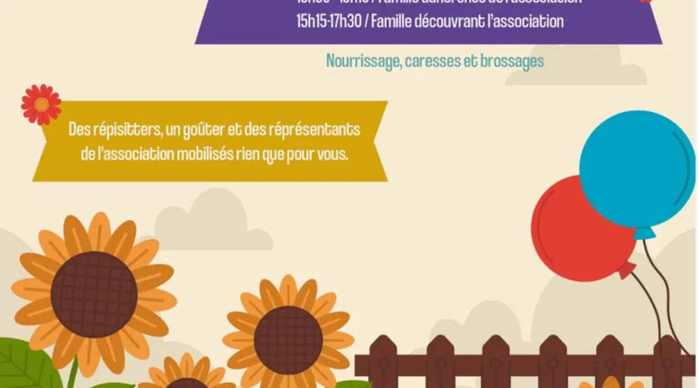 Les Étoiles Veillantes : Accordez-vous du répit à votre domicile