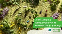 Je découvre la sophrologie pour me reconnecter à la nature