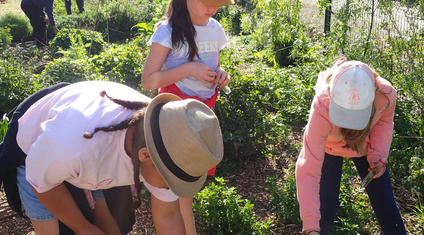 Les amis du jardinier - Atelier découvertes sur les auxiliaires du jardin