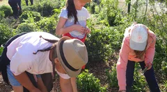 Les amis du jardinier - Atelier découvertes sur les auxiliaires du jardin
