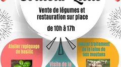 Fête de Couleur Lilas 