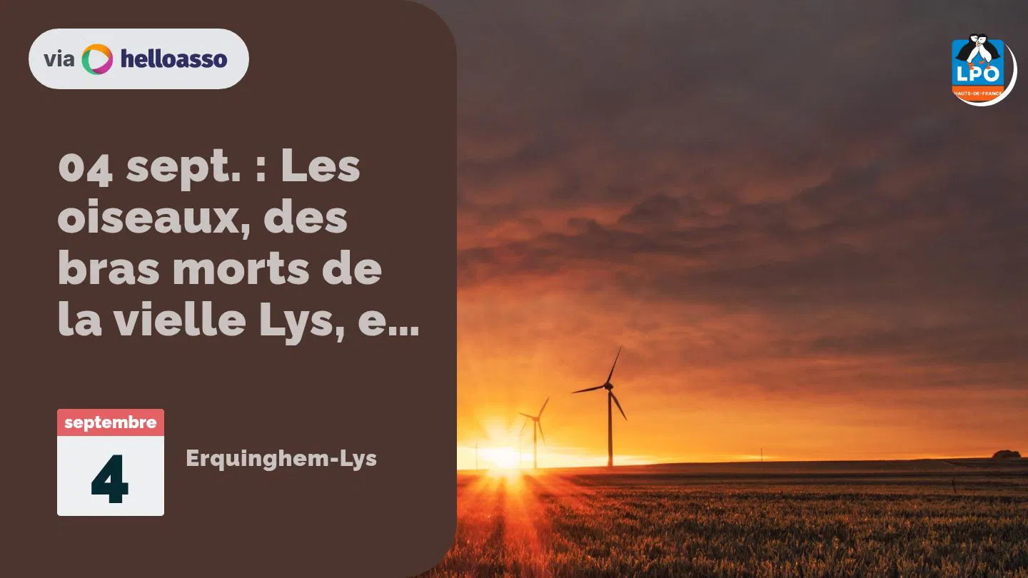 04 sept. : Les oiseaux, des bras morts de la vielle Lys, et de la nouvelle Lys