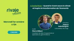 Géomimétisme