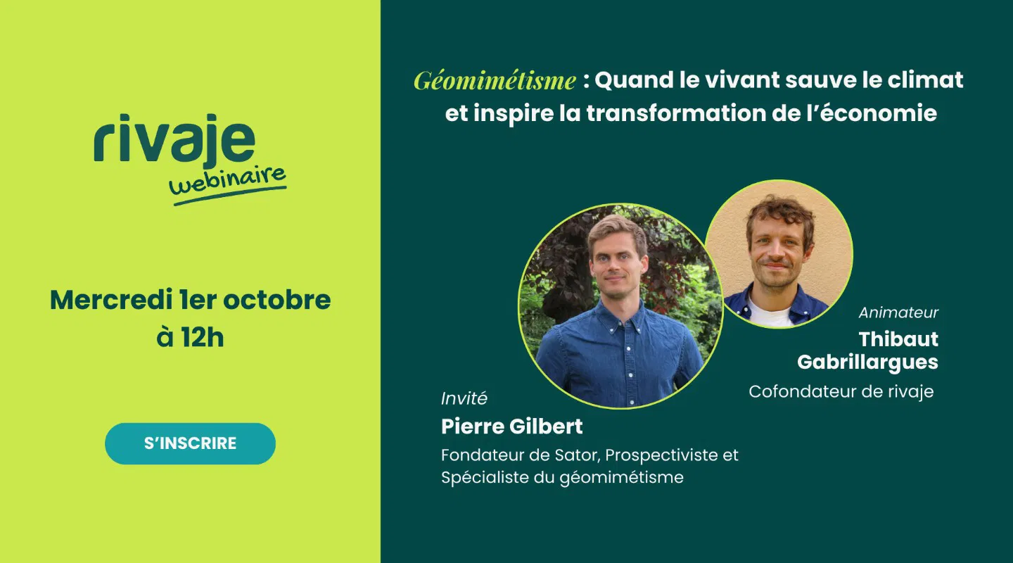 Géomimétisme